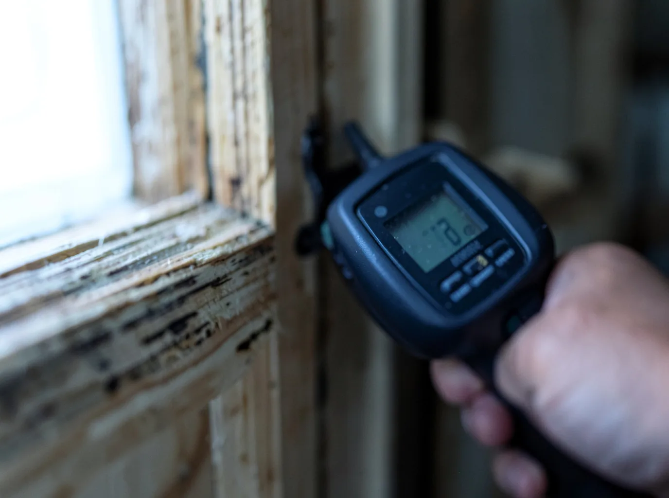 Moisture Inspection And Documentation in Gwynneville, IN